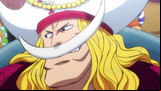 onepiecemovil